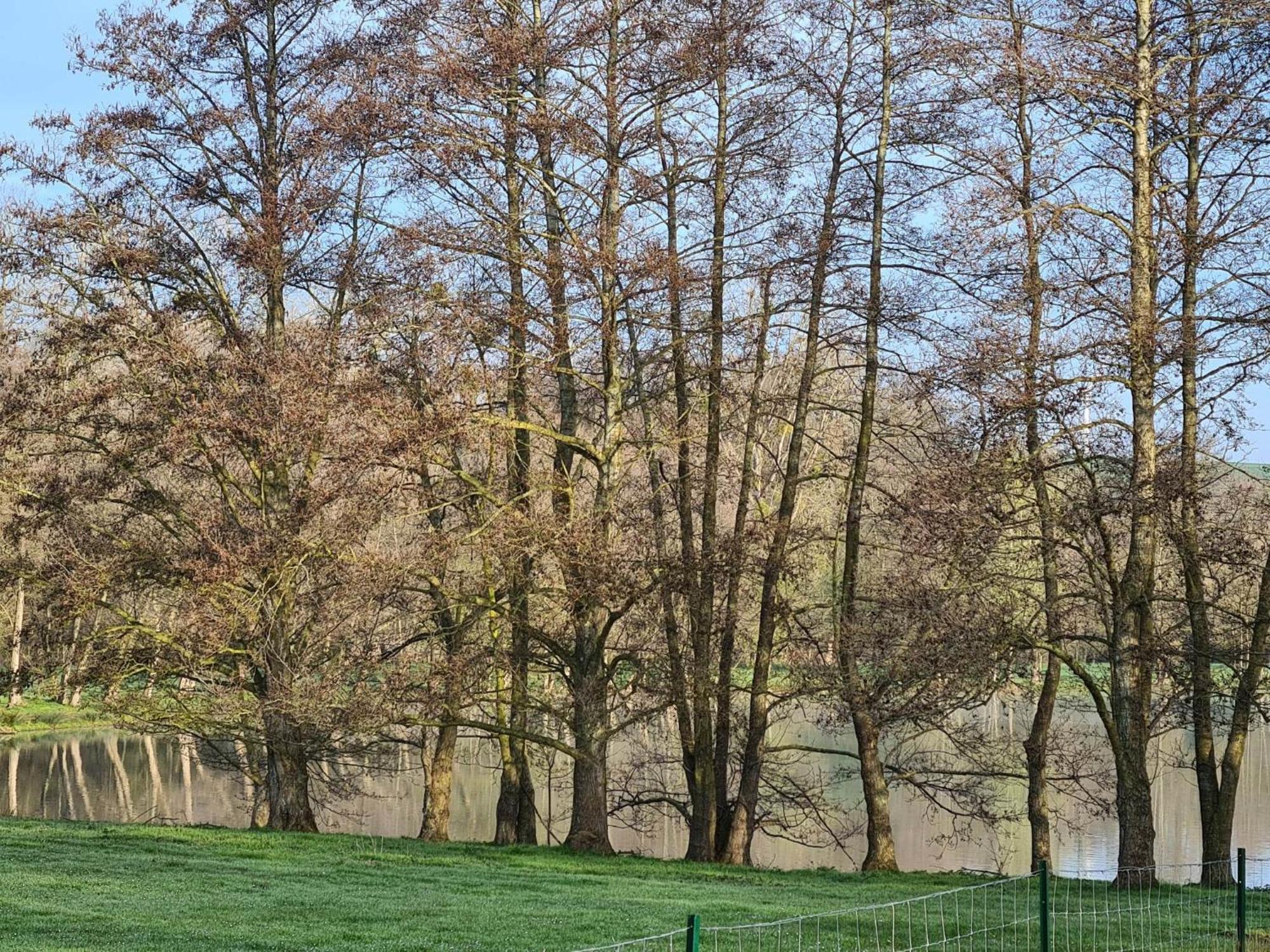 Villa La Taniere Gueures Exterior foto